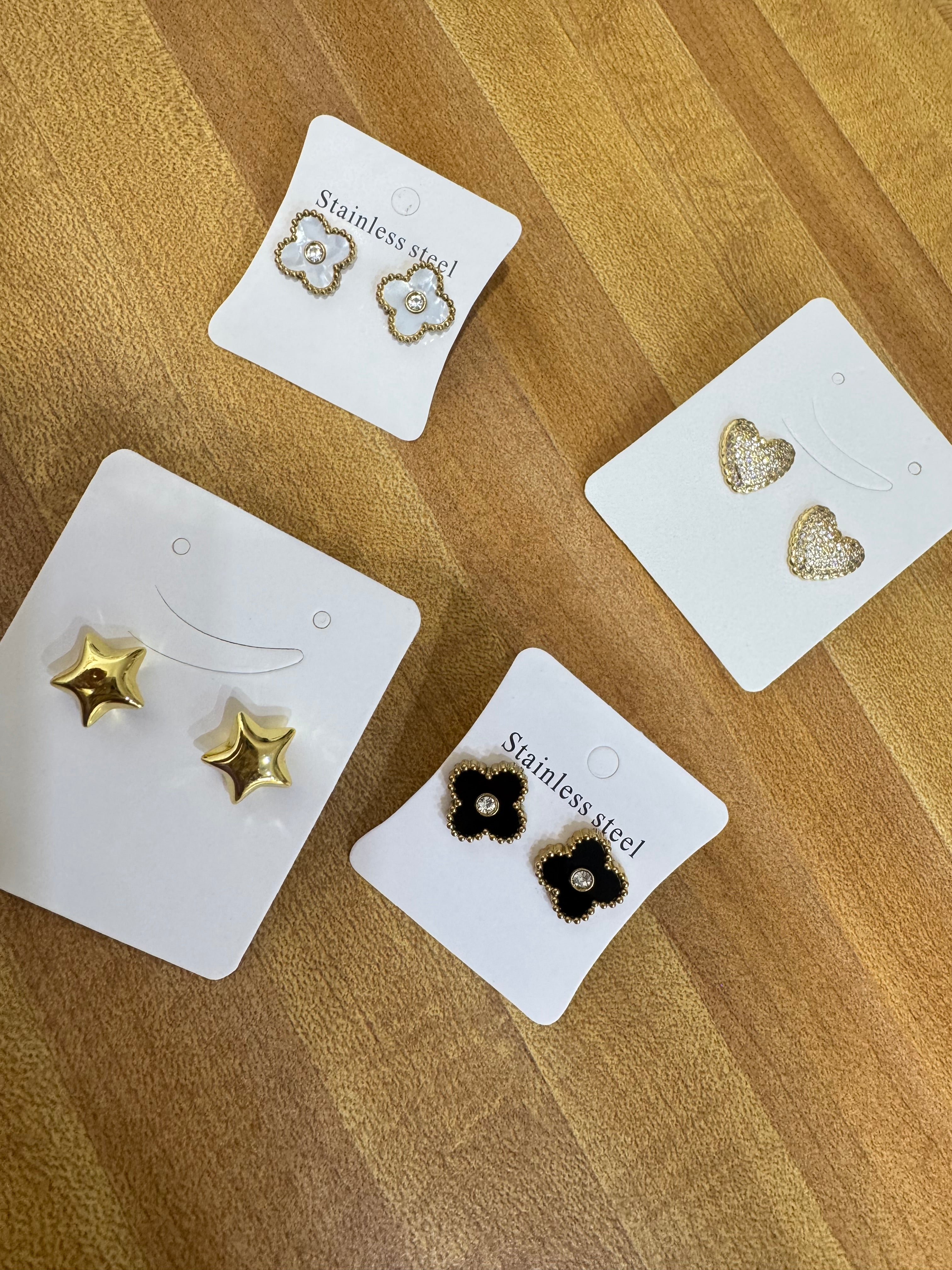 Stainless steel earrings