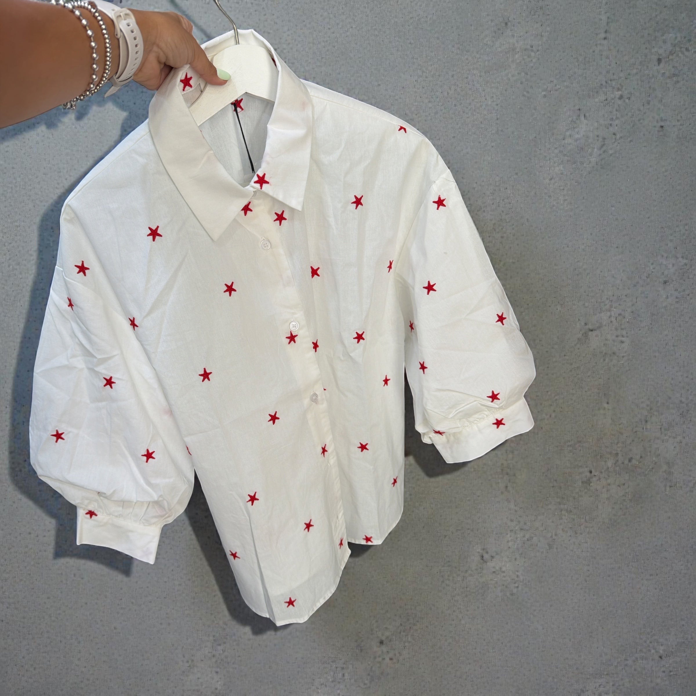 Star embroidery top